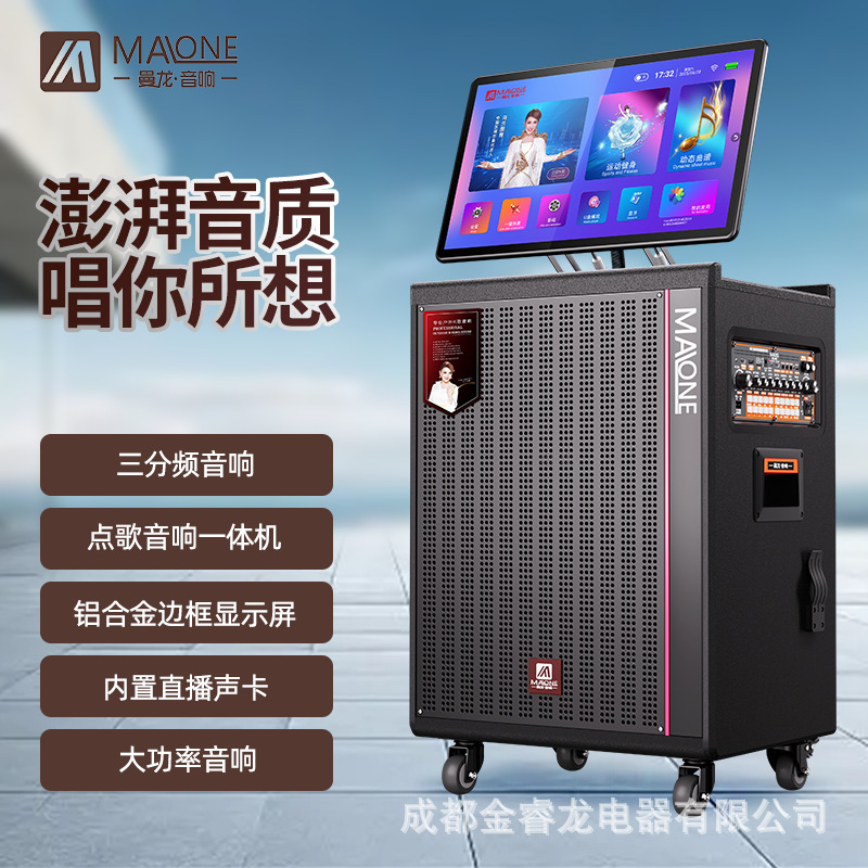 Sichuan Manlong Kt-612/615 High-Power Touch Screen Karaoke Machine Audio Karaoke Square Dance Playing Teaching Card