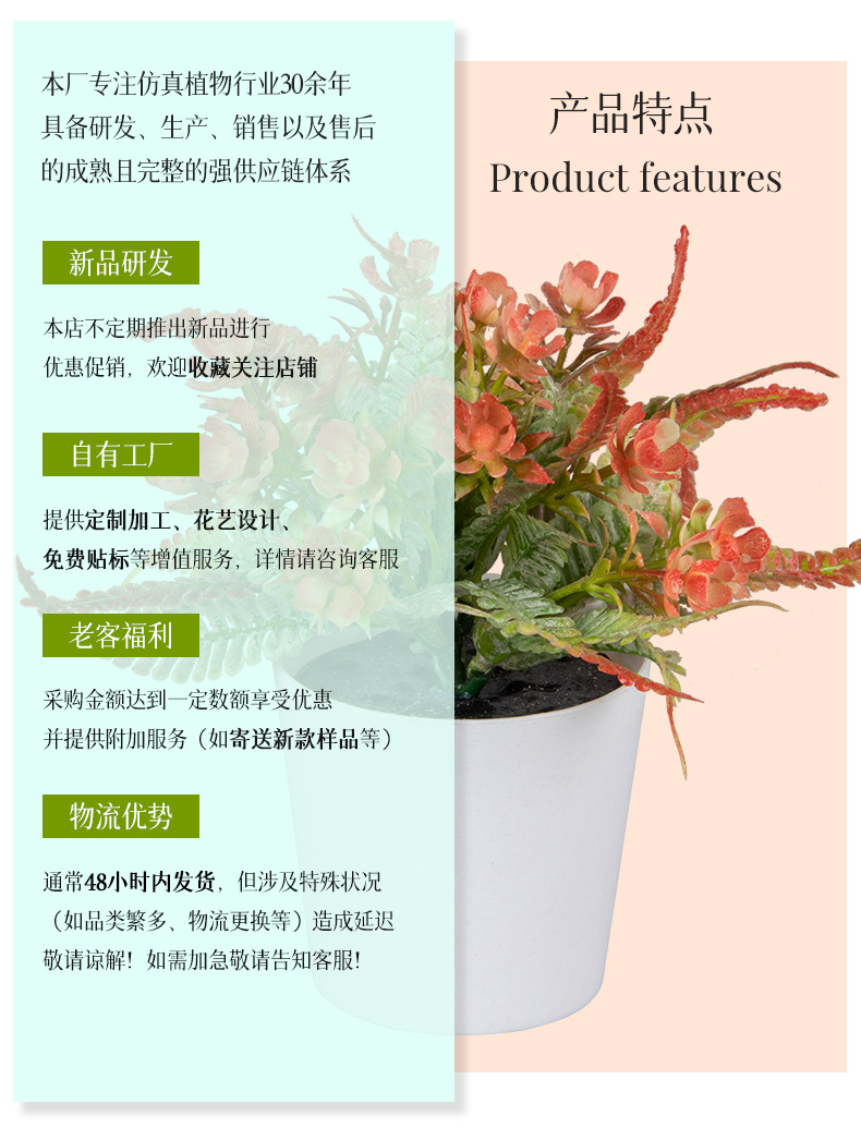 组合盆栽_04.jpg