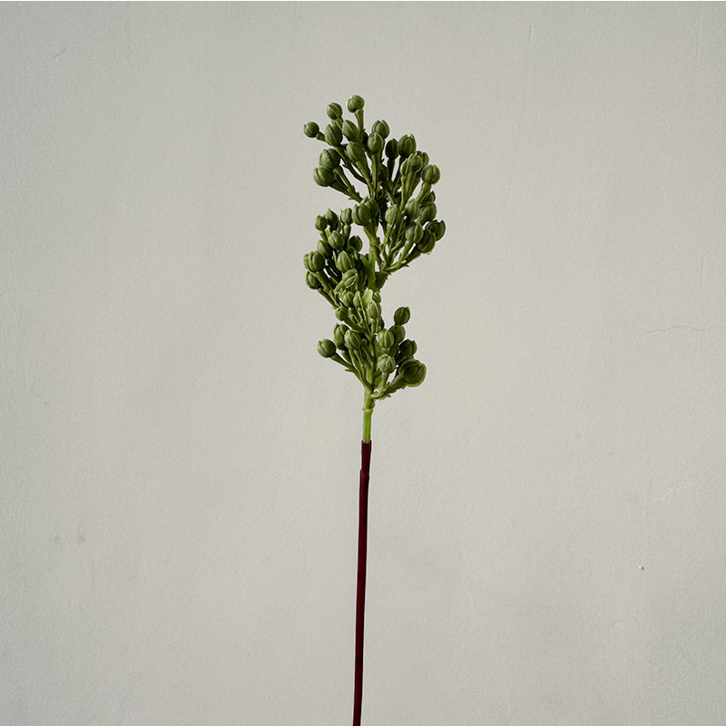 작은 가지 미자이 과일-녹색