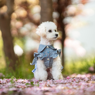 ���R�d�羳̩��С��Ȯ����ţ��ȹ�ӹ����·����ı���͸�⹫��ȹ