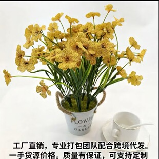 �羳�����ɫ���_�m�zӡ���ҾӔ[ʽ���滨��c�҃������b��S