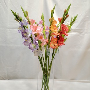 Ī�λ��@���m���滨 ���|�����ѽ����m�����컨 ���S���l���m�ٻ�