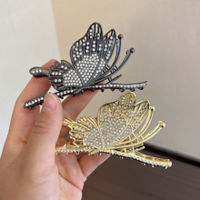 �߼��НM����~�A�����l�A���X�ױP�lץ�AŮ��̖�A���^lץ���l