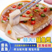 冷冻鱼翅鲜鱼翅鳐鱼翅速冻鲜鱼翅酒店餐饮食材顺丰配送