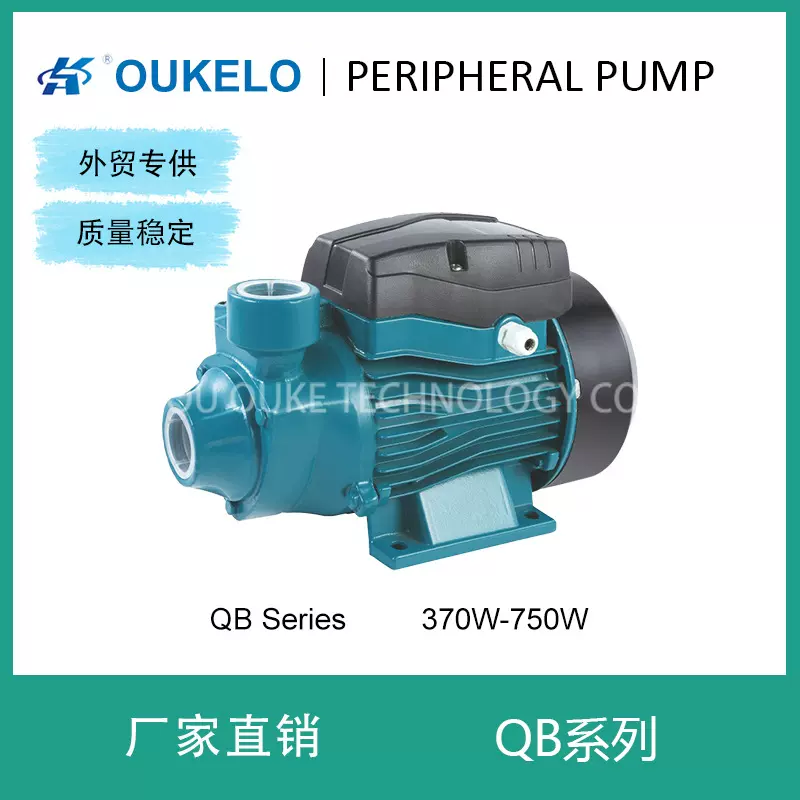 QB外贸厂家定制小型家用增压电动农业灌溉旋涡泵外围泵水循环水泵