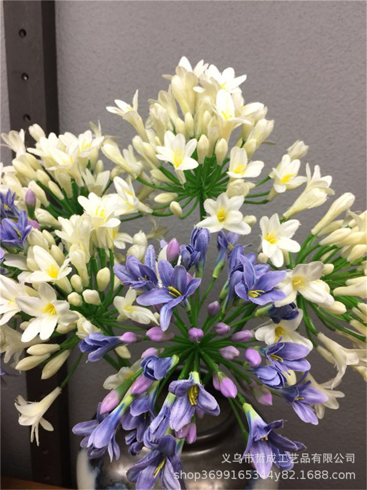 TB2NBZkEL9TBuNjy1zbXXXpepXa_!!