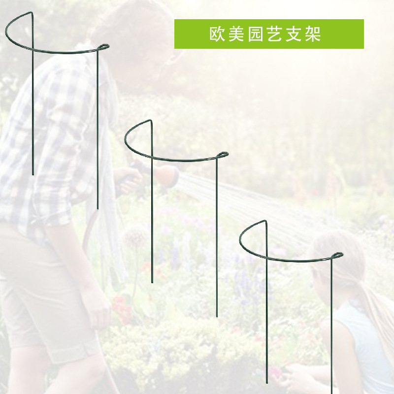 16397625549_223168717