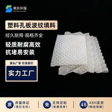 Ͽװ岨y 250Y |Чʸ |