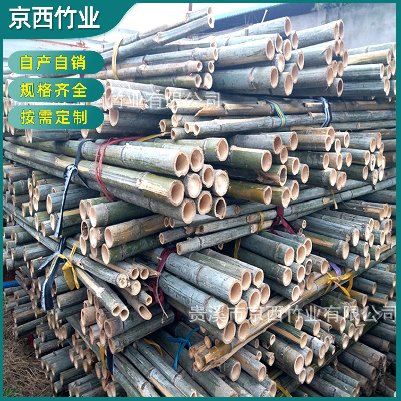 产地销售 绑扶矮砧苹果树苗4米小竹竿 厂家发货