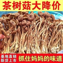 古田不开茶树菇批发农家香菇产干货新鲜新货煲汤炖汤净重发货