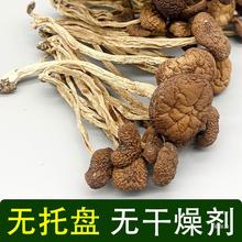 云南农家茶树菇干货不开伞茶薪菇非新鲜香菇蘑菇商用云南菌子