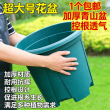 ����Ӻ�Ӵ�̖40cm�ڏ���ɽ�ظ���ͥԺ�¼��F��ɏ�����{ݮ����
