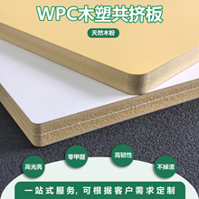 wpc木塑共挤板家居板宠物箱板车厢板各类装饰装修板垫板包装箱板