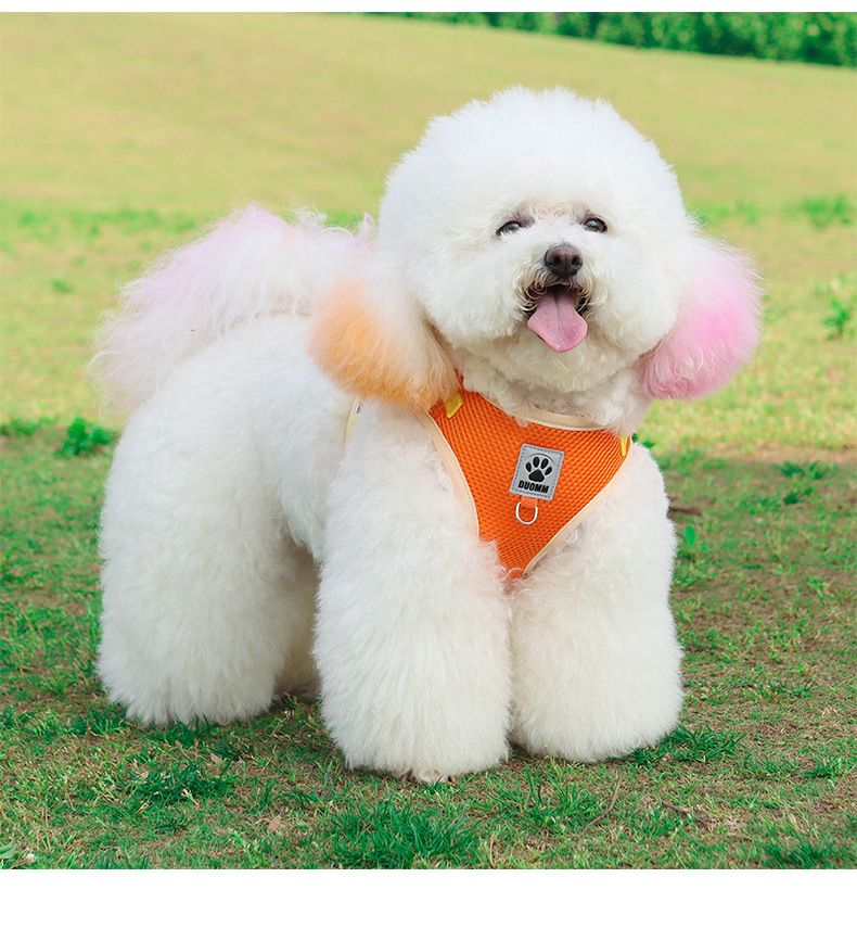 200 Quantity Daily Occasion Fashion Polyester Color Block Leash 1 Piece
