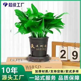 花盆容器;花盆装饰;园艺灌溉工具