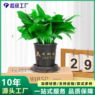 ��ɰɫ�Ӂ��莧�ױP����ӡ������͸��ظ��Nֲ������С�;Gֲ��