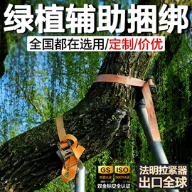 收紧器;拖车绳/网;吊装绳带