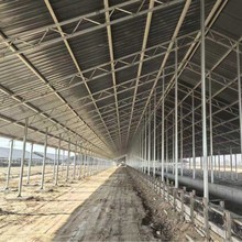 ���N��̖�����ɹ��߻����S܇�g��Bֳ���͏����g���������