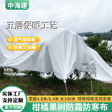 四川加厚柑橘防寒布 果树保温布 李子沃柑火龙果香蕉茶树防冻布