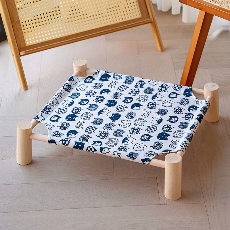 흰색 배경에 고양이