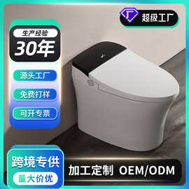 源头厂家新款智能马桶即热冲洗烘干虹吸全自动坐便器酒店工程除臭