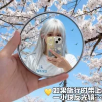 Gương cầu lồi an toàn di động 1688