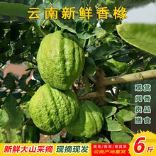 ��ϸ�ɽ�㙴�����r���ָ�ؕƷ���ش����������r���F��ժ���l