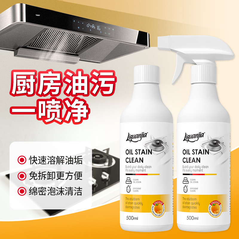 라이저 홈 중유 얼룩 세척제 주방 범위 후드 오일 얼룩 제거 세척제 거품 스프레이 그물 재고 범위 흄 그물
