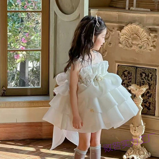 2025 Girls New Dress Flower Girl Wedding Girl High-end Light Luxury Niche Beautiful Host dress