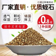 蛭石铺面扦插颗粒 土珍珠岩养花发根育苗用的大颗粒多肉营养土