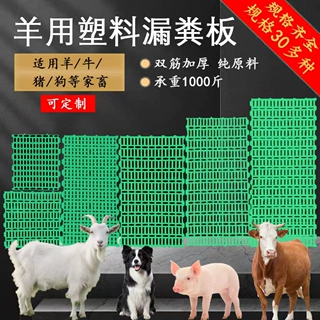 定制猪用漏粪板塑料粪板养殖用猪舍地板塑料板养猪场用加厚漏粪板