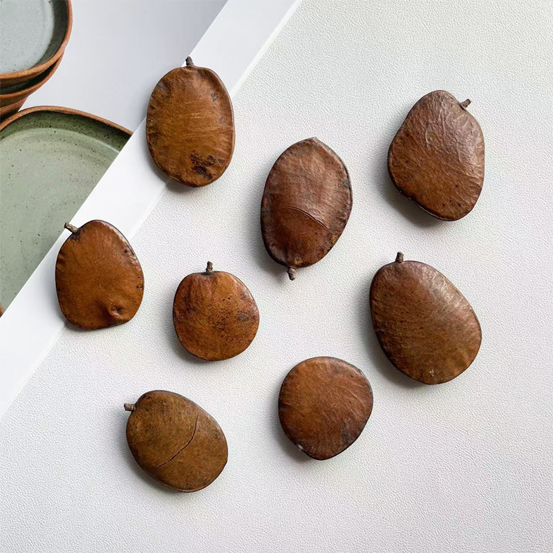 ؛�Ś� �A���v�M����Ȼֲ��ɻ������b� �׃��@�ֹ�diy���Ϙ˱�