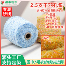 2.5支千羽孔雀纱线 段染羽毛圈圈纱羊毛混纺粗针秋冬毛衣花式纱