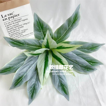 15���ָ��ش��˯����ާ�B��ާGɫ����ֲ�����^�z�~�Ӱ���