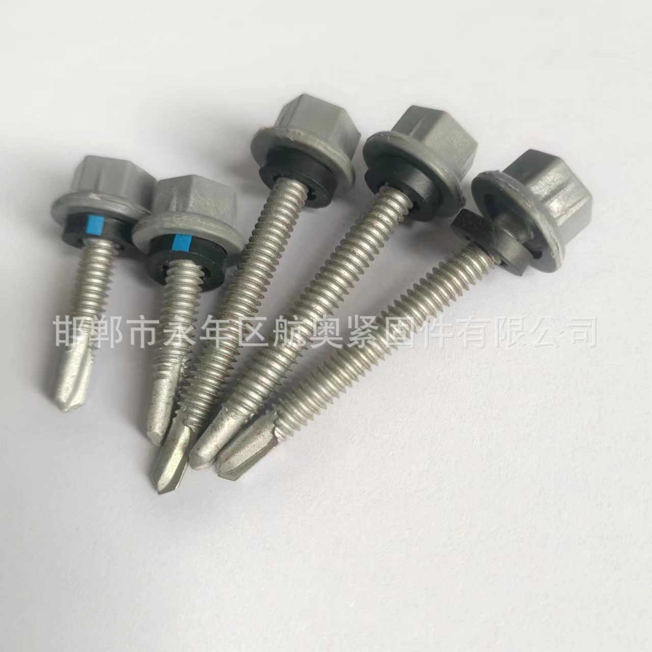 微信图片_20241219141220