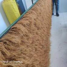 �ɾ��ķ���é���߲�ƺ����������x���b����Ҏ��ɼ�����b�