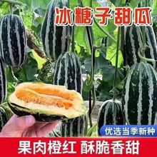 �������������ϷN��һ���ļ��Nֲ��ϷN���ִ�С��ͥԺˮ���N��