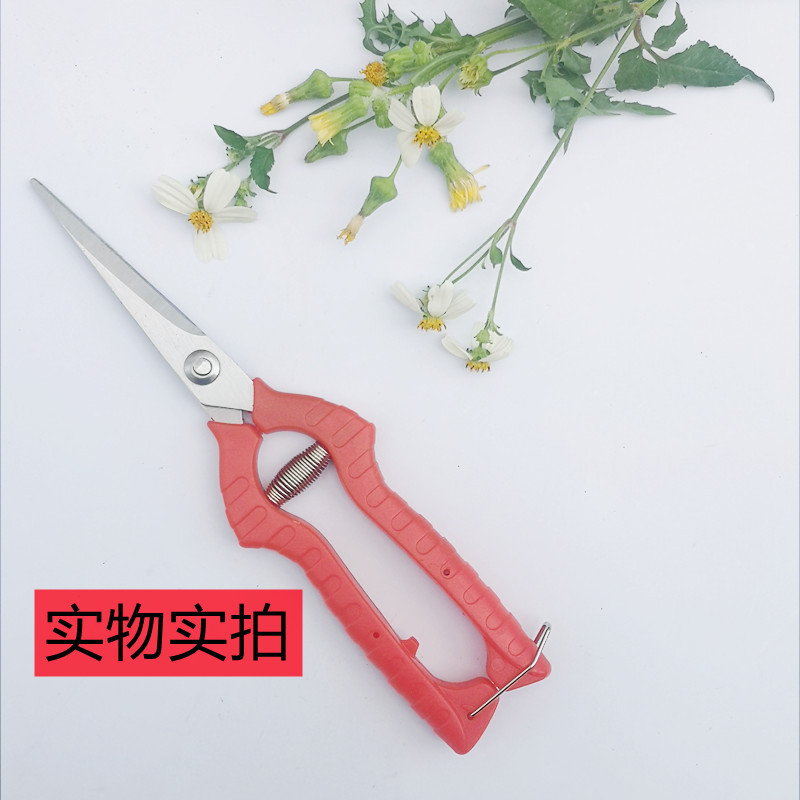 Pruning shears for fruit trees, garden potted plants, green plant trimming, home use, flower grape pruning special tool, fruit thinning and picking shear