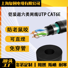 鎧裝超六類網線UTP CAT6E 0.5無氧銅POE監控雙絞線 非屏蔽網線