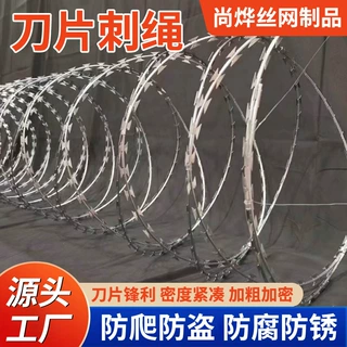 跨境刀片刺绳铁丝网防盗防爬带刺热镀防锈刺丝钢网墙刀片刺绳批发