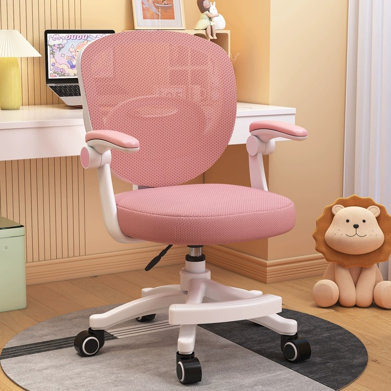 Special Home Seat for Primary and Secondary School Students to Do Homework, Kidsren's Learning Chair, Writing Chair, Adjustable Desk and Chair