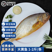 �g�؞� ���S���~ ���r����S�~�r������r�ك����rˮ�a�~���