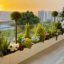 ���⻨��M���Fˇ�Nֲ��ͥԺ����řڻ��۸��໨�ܲ��P䓶��Ƈ���