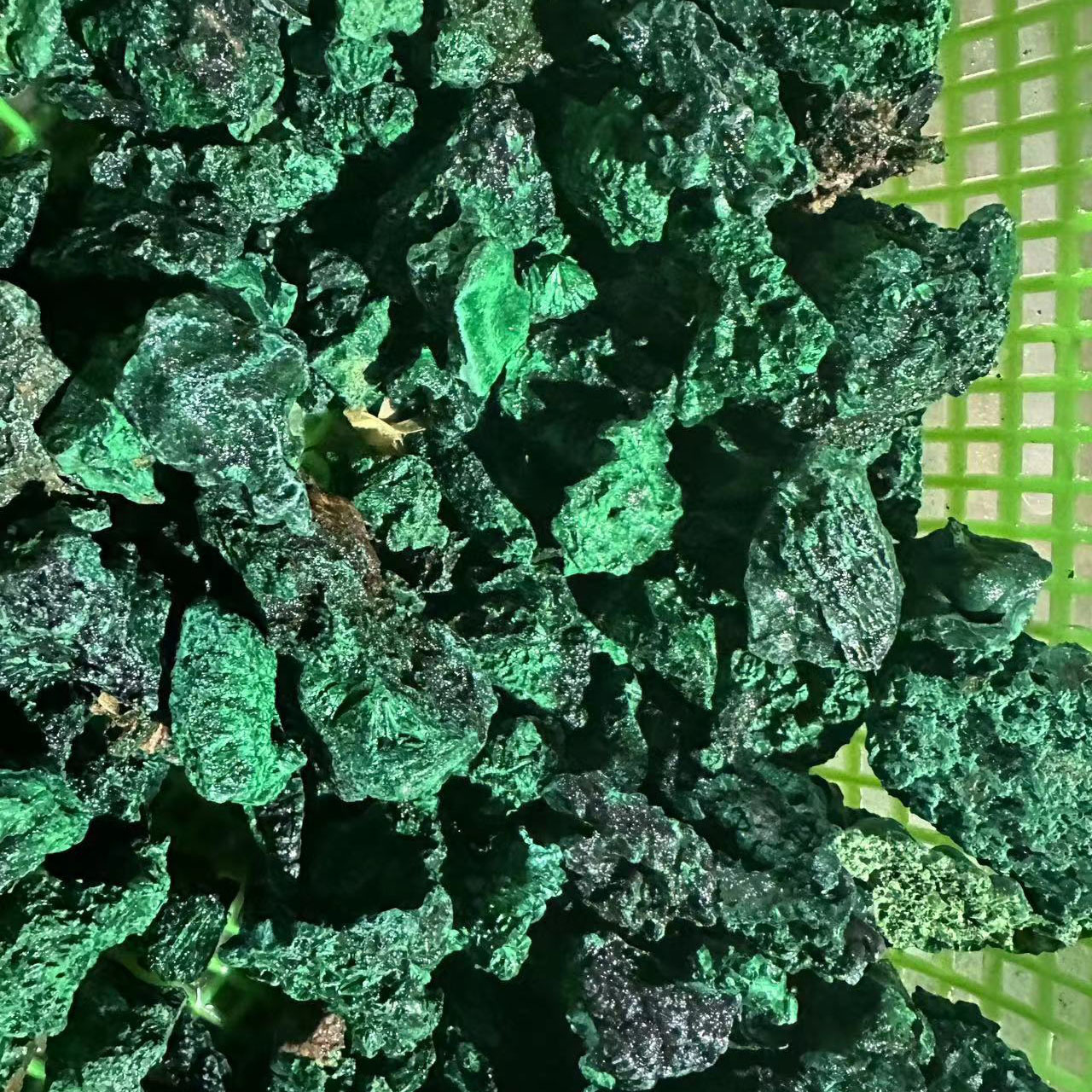 微信图片_20230203195254