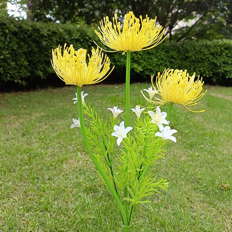 노란색 해안 꽃