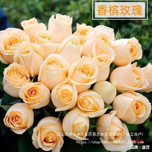�r�л�ˮ�B���]0����ֱ�l�㙉52���س�õ�����˹��������ͬ���f