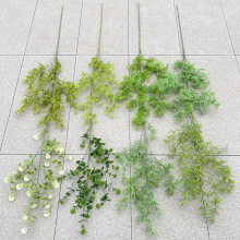 �Gɫϵ���滨 2024�����¿� ɭ��ϵ��Y���� ��c�����廨����