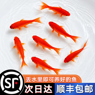 ���N�Pβ��t�ݽ��~��ˮ�~С�\��������ˮ�^�p�~����B�ͻ��ԁ�ˮ