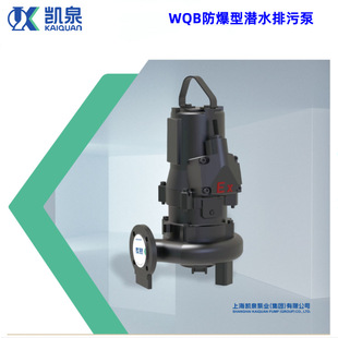 �PȪ�ØI���FEX������ˮ���۱�WQB2155-248����վ�V��LNGվ��ˮ��