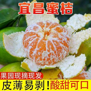 �������ٽ���9������o�����r�����ЋDˮ��������]������Ƥ����